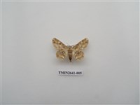 藏品(尺蛾169)的圖片